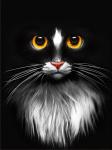 "Черный кот" Набор для выкладывания стразами