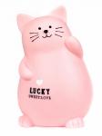 Копилка Lucky sweetlove 20х14см 058D-1122D