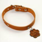 Ошейник кожаный однослойный