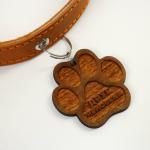 Ошейник кожаный однослойный