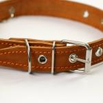 Ошейник кожаный однослойный