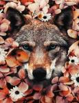 Грозный волк в нежных цветочках