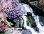 Весенние цветы у небольшого водопада