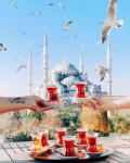 Чайки и чай на фоне Голубой мечети Стамбула
