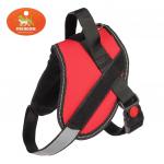 Шлейка мягкая