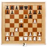 Шахматы магнитные демонстрационные 01756