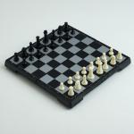 Игра настольная магнитная "Шахматы", фигуры чёрно-белые, 19.5х19.5 см 2590518
