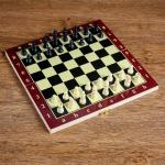 Настольная игра 3 в 1 "Карнал": нарды, шахматы, шашки, доска дерево 20.5х20.5 см, микс 273155