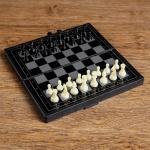 Настольная игра 3 в 1 "Зук": нарды, шахматы, шашки, магнитная доска 19х19 см 2590527
