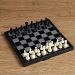 Настольная игра, набор 3в1 "Зук": нарды, шахматы, шашки, магнитная доска 24.5х24.5 см 2590528