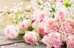 Букет нежно-розовых красивых роз