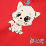 Боди