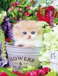 Пушистый котенок в цветочной лавке