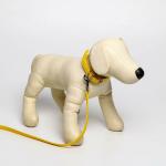 Комплект ошейник и поводок из экокожи