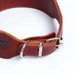 Ошейник двухслойный с тиснением