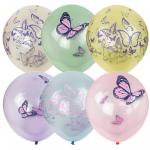 Воздушные шары,   25шт., М12/30см Кристалл Bubble. Бабочки, пастель+декоратор, ассорти, европодвес, 4690296070175