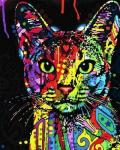 Абиссинская кошка в стиле поп