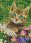 Маленький голубоглазый котенок в цветах