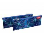 Пенал конверт ErichKrause® 220х90мм Neon Dragonflies