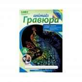 Гравюра с цветной основой "Грациозный павлин": Гр-431