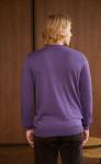 Пуловер P021-15-00 violet melange
