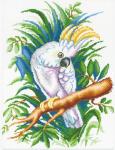 "Белый попугай" Рисунок на канве 40х50см