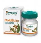 Бальзам Колд Балм Хималайя Хербалс (Cold balm Himalaya Herbals) 10г