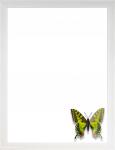 Рамка для картины на холсте 30х40 / 2009C-012A / декор бабочка