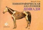 Гуди Питер К. Топографическая анатомия лошади
