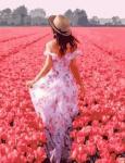 Девушка в поле красных тюльпанов