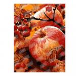 Кпн-122 Картина по номерам "Осенние яблоки"