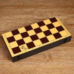 Настольная игра 2 в 1 "Семейная": шахматы обиходные, шашки (доска пластик 30х30 см) 3091529