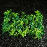 Коврик растений для аквариума