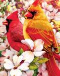 Виргинские кардиналы на цветущей ветке