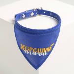 Ошейник с платком