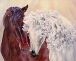 Конь и его белая лошадь