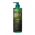 Esh010421, Натуральный увлажняющий шампунь для волос CP-1 Daily Moisture Natural Shampoo, 500 мл, ESTHETIC HOUSE