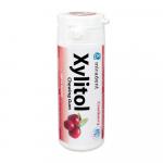 Xylitol Chewing Gum - Жевательная резинка с ксилитом, Cranberry (Клюква), 30 шт. в баночке