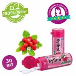 Xylitol Chewing Gum - Жевательная резинка с ксилитом, Strawberry (Земляника), 30 шт. в баночке