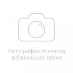Бур садовый 2м, 2 сменные насадки д15см и д20см, окрашенный металл (Россия)