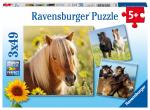 Набор пазлов Ravensburger «Пони», 3х49 эл.
