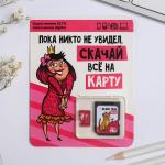 Карта памяти «Скачай всё на карту», 32 Гб