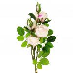 Букет "Роза" цвет - светло-розовый, 80 см, 4 цветка, 4 бутона (Китай)