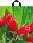 Пакет с петлевой ручкой (40х44)-35 Красный тюльпан