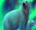 Белый медвежонок с мамой на фоне северного сияния