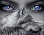Голубые глаза и волк