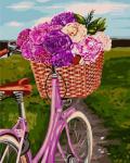 Велосипед с полной корзиной ярких цветов
