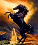 Черный конь на фоне скал и неба