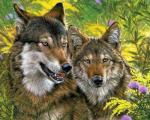 Волки среди полевых цветов