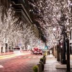 VEGAS   24V Электрогирлянда-конструктор "Нить" 48 разноцветных LED ламп, прозрачный провод, 5 м /100/4